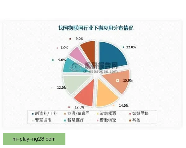 诺伊豪斯发展未达预期背后的原因与未来挑战分析