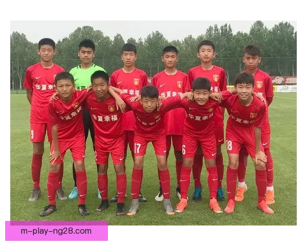 韩国足协宣布与知名电子品牌续约 赞助资金用于青少年梯队建设